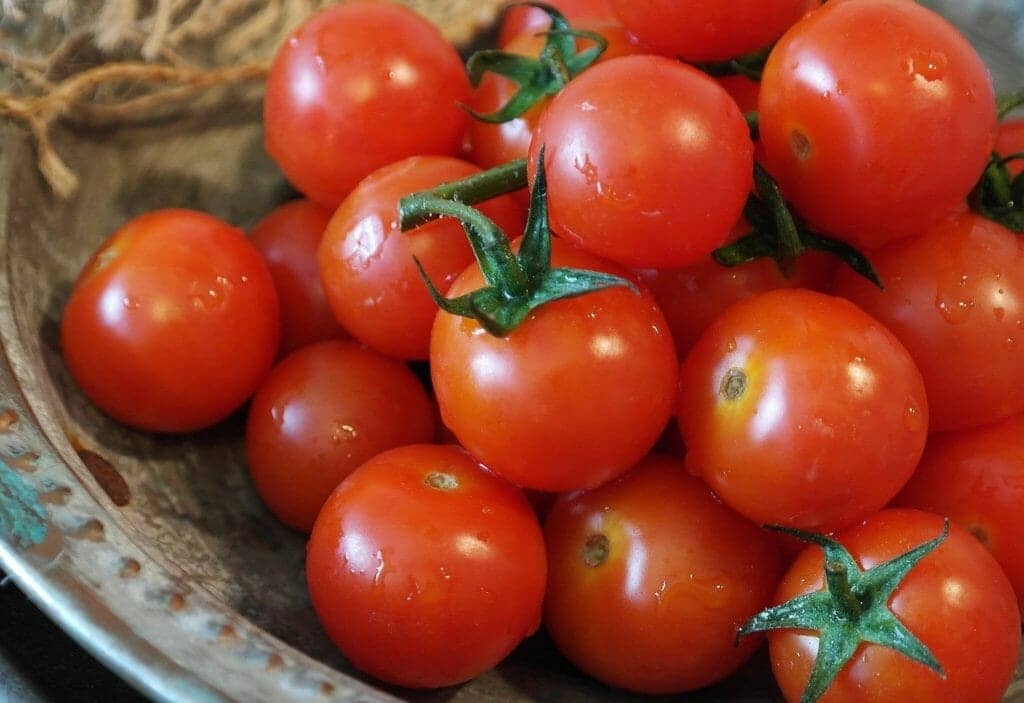 Lycopene Use in Cancer Patients (Tomatoes for kidney damage)