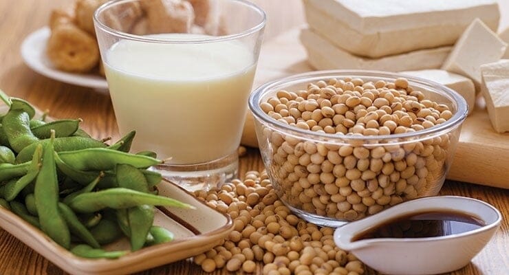 Soy Foods and Breast Cancer