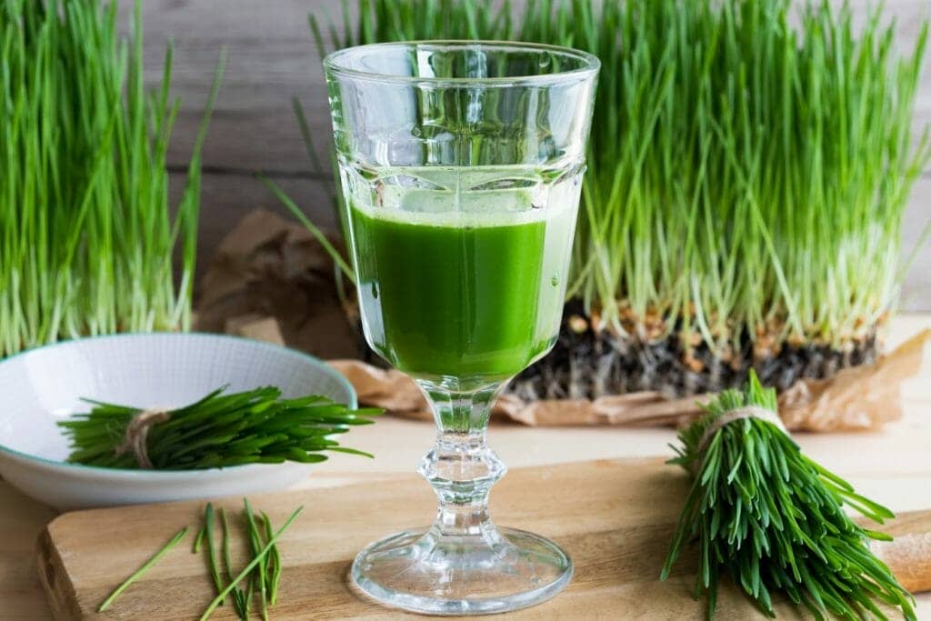 Potential Benefits of Wheatgrass Juice in Colorectal Cancer