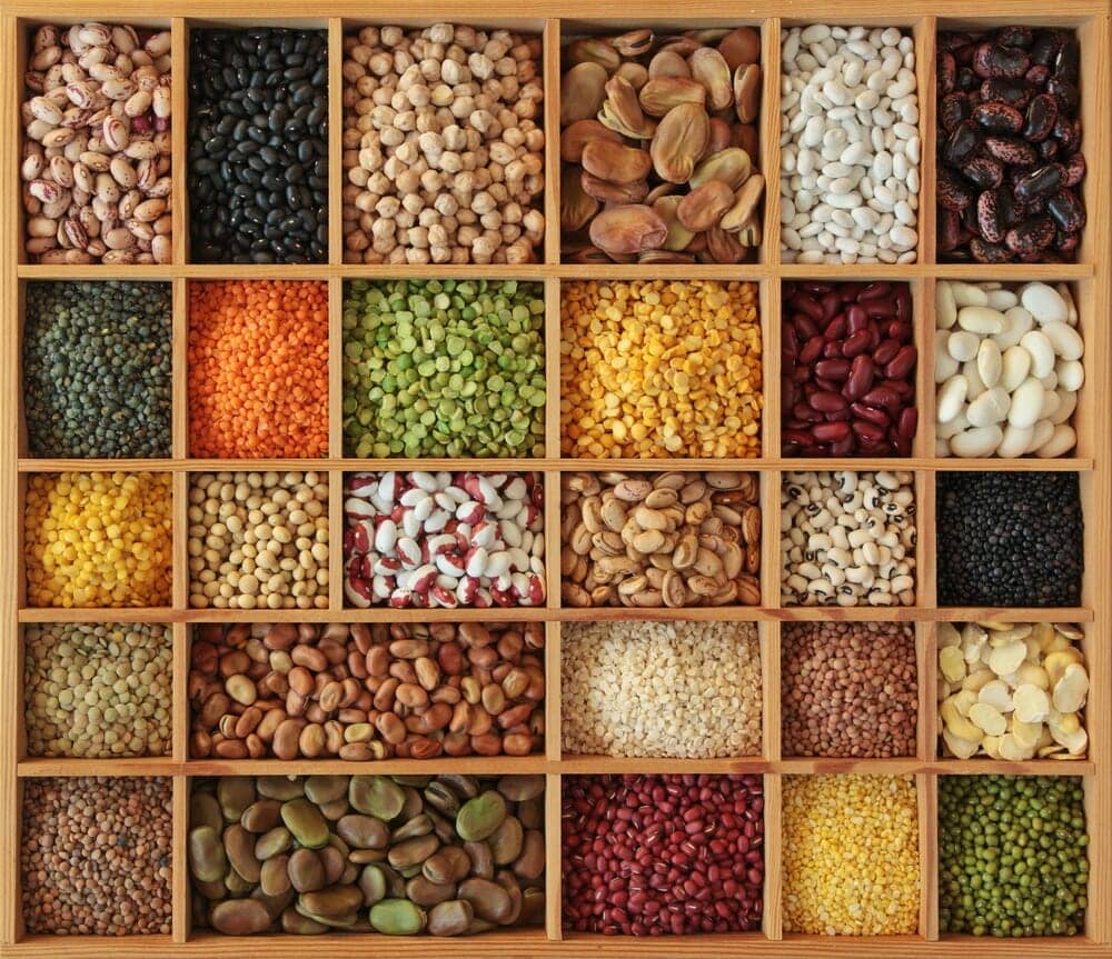Intake of protein rich legumes such as peas and beans and the risk of cancer