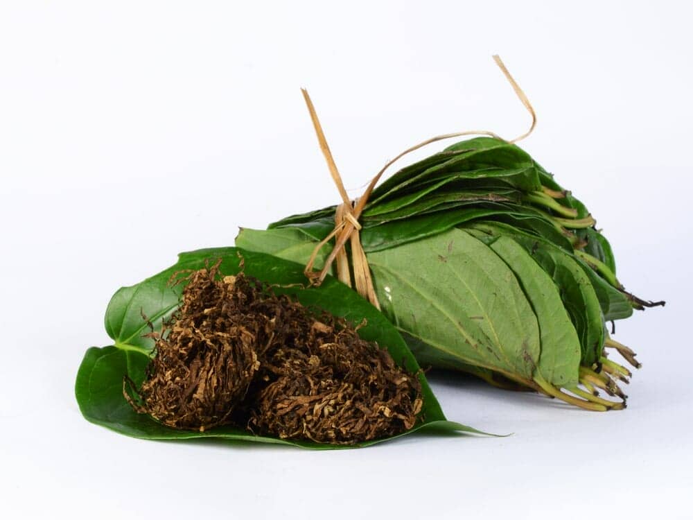 Smokeless Tobacco Use and the Risk of Cancer , betel leaf, Oral Cancer