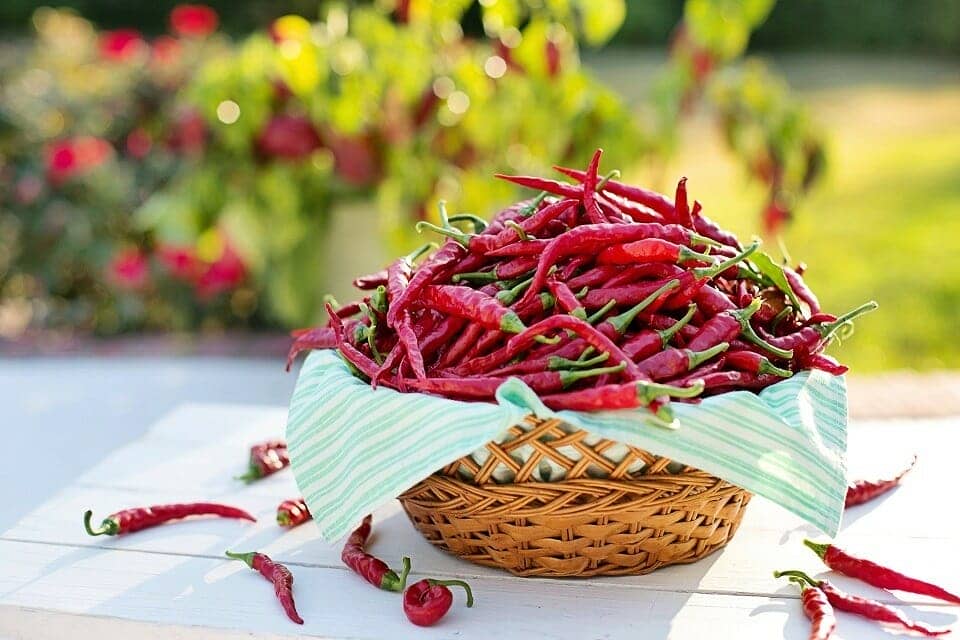 capsaicin, hot chilli pepper, spicy food, stomach / gastric cancer