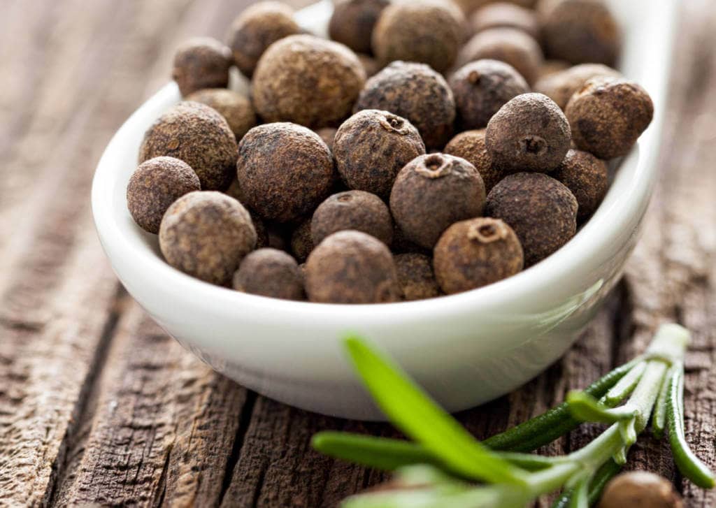 Allspice Supplements for Cancer Treatment and Genetic Risk