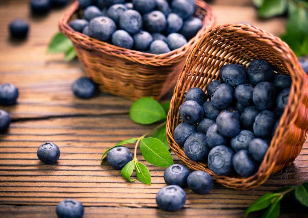 Blueberry Supplements for Cancer Treatment and Genetic Risk