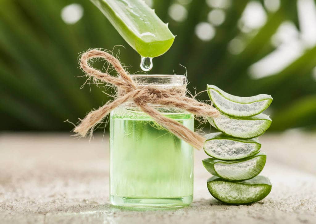 Aloe vera supplements for Cancer Treatment and genetic Risk
