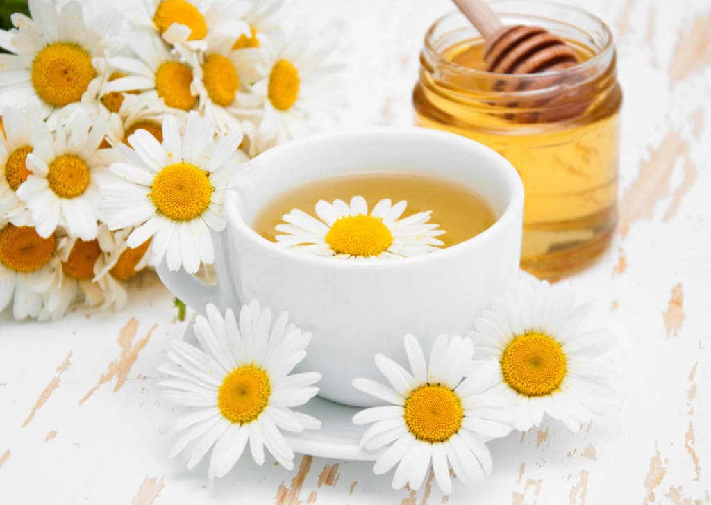Chamomile Supplements for Cancer Treatment and genetic Risk