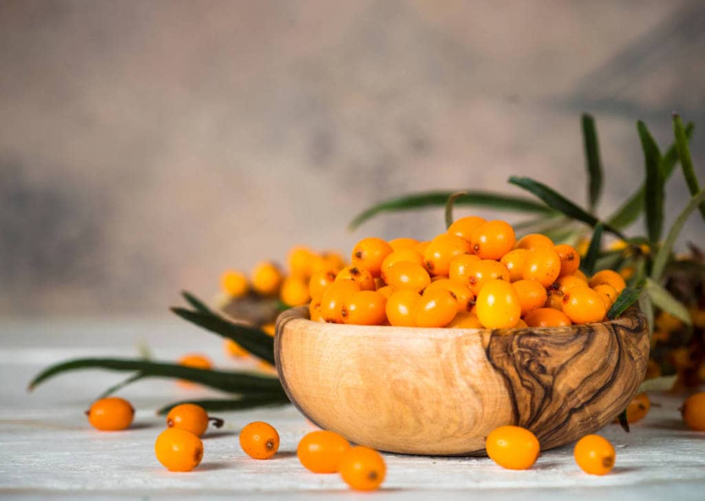 Sea Buckthorn Supplements for Cancer Treatment and genetic Risk