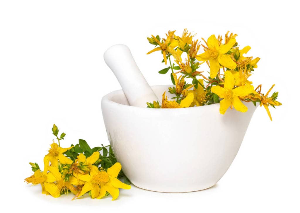 St John's Wort Supplements for Cancer Treatment and genetic Risk