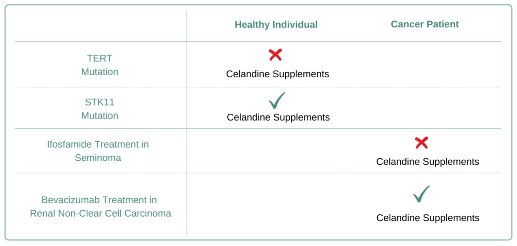 For Which Cancer Types to Avoid Celandine Supplement