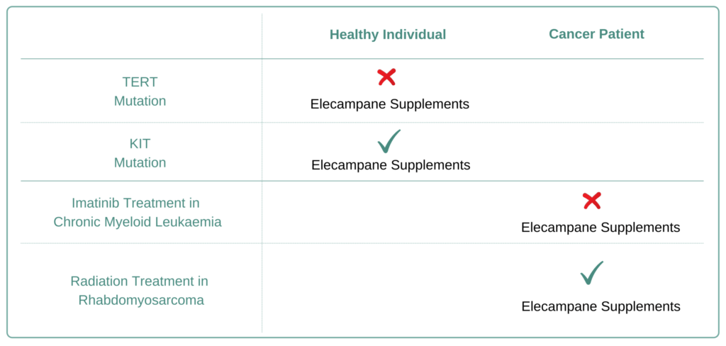 For Which Cancer Types to Avoid Elecampane Supplement