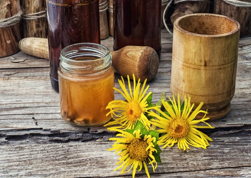 Elecampane Supplements for Cancer Treatment and Genetic Risk