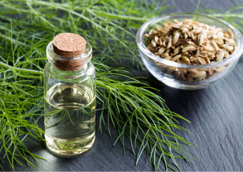 Fennel Supplements for Cancer Treatment and Genetic Risk