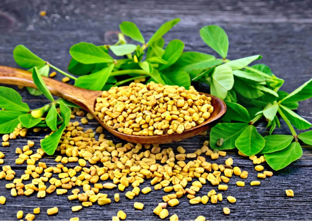 Fenugreek Supplements for Cancer Treatment and Genetic Risk