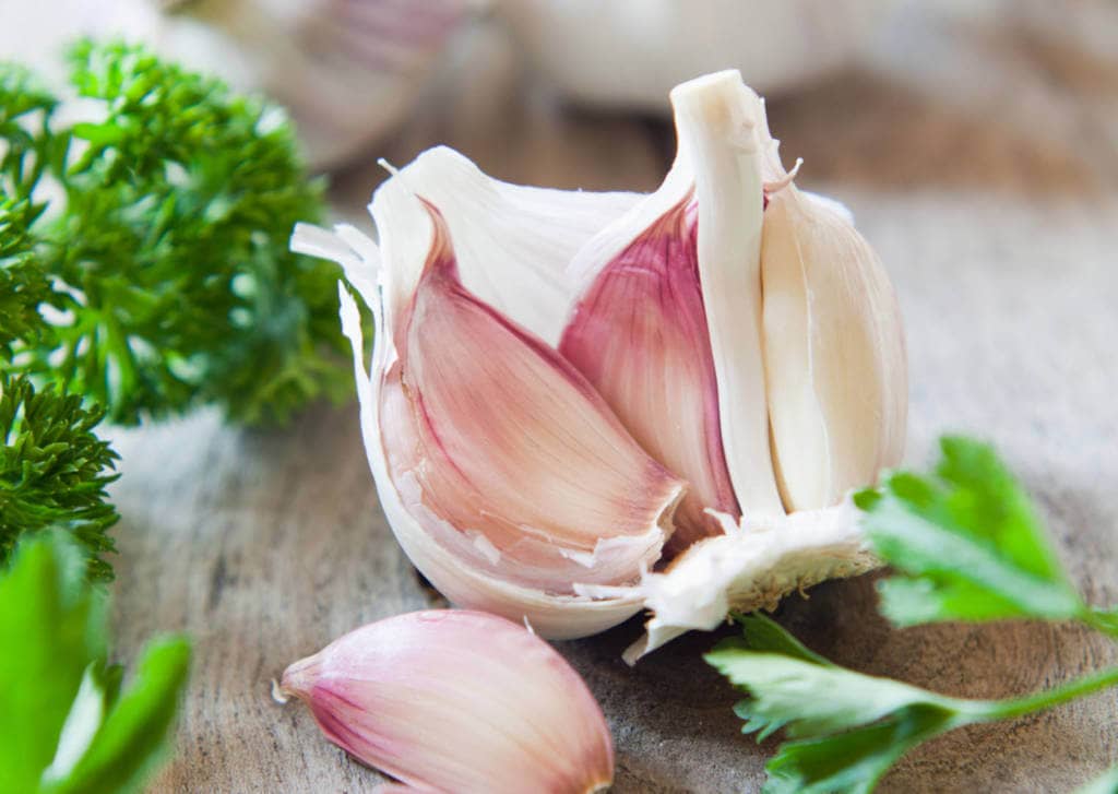 Garlic Supplements for Cancer Treatment and Genetic Risk
