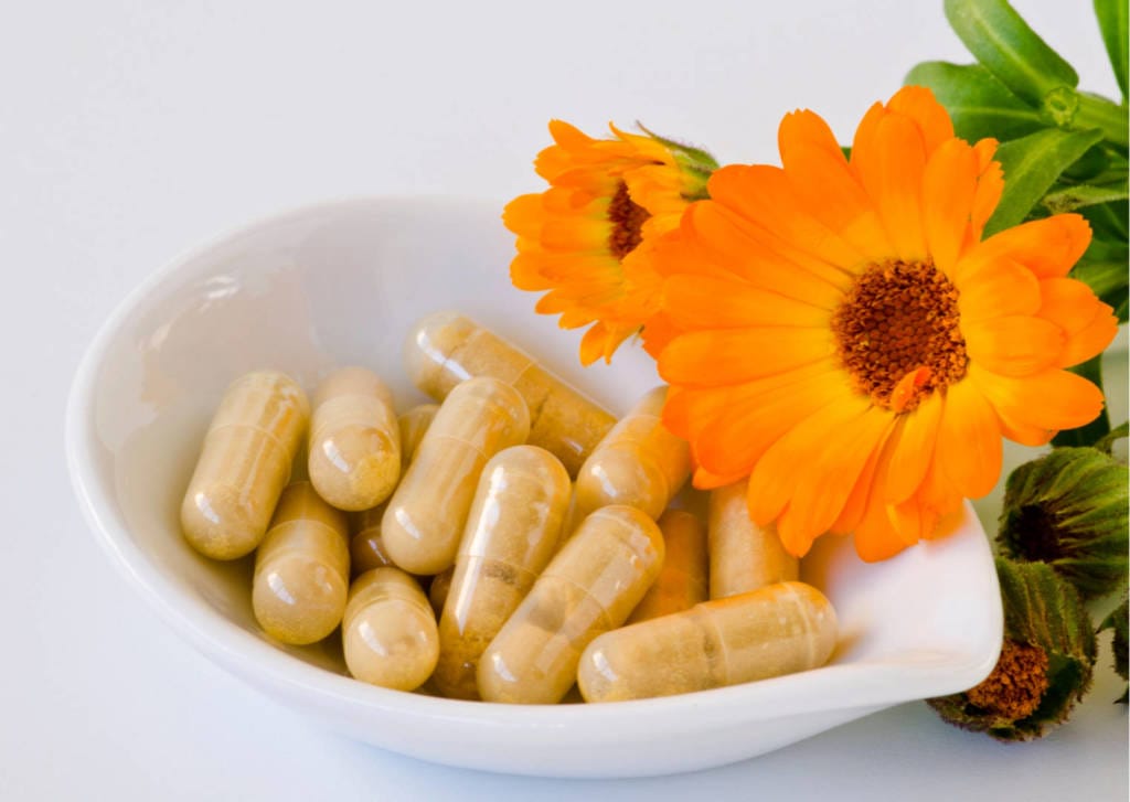 Calendula Supplements for Cancer Treatment and genetic Risk