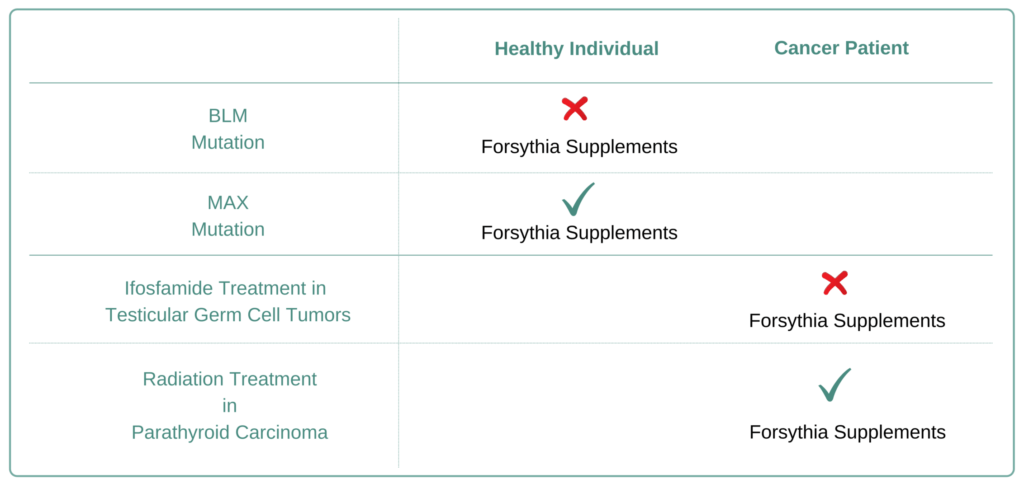 Which Cancer Types to Avoid Forsythia Supplement