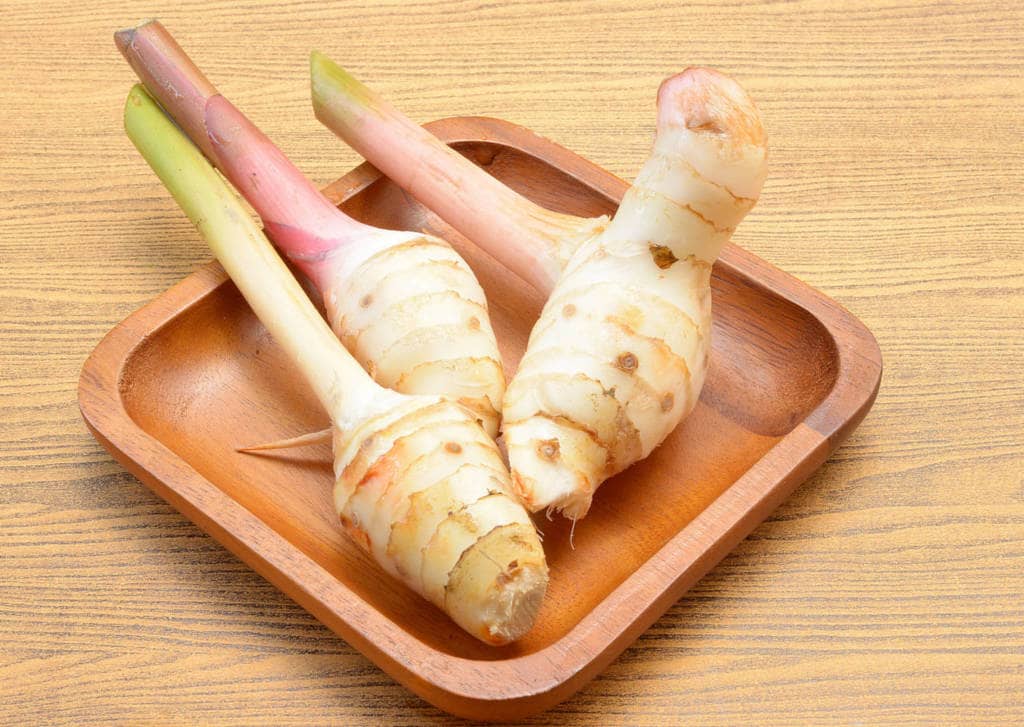 Galangal Supplements for Cancer Treatment and genetic Risk