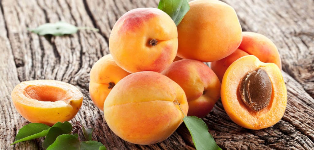 Apricot for Cancer Treatment and Genetic Risk