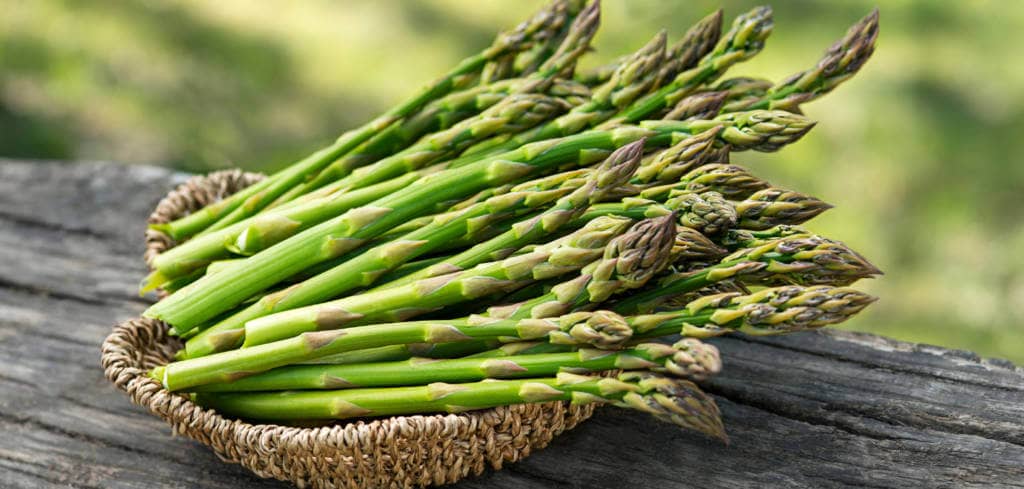 Asparagus for Dermatofibrosarcoma protuberans taking Imatinib treatment and asparagus for  Testicular Germ Cell Tumors along with Ifosfamide treatment