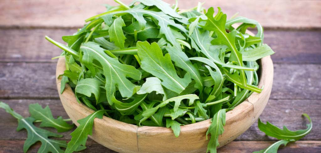Beefits of Arugula for Testicular Germ Cell Tumors or Monoclonal gammopathy of undetermined significance