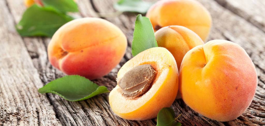 Apricot for Rosai-Dorfman disease taking Cladribine Apricot for Testicular Germ Cell Tumors with Ifosfamide treatment