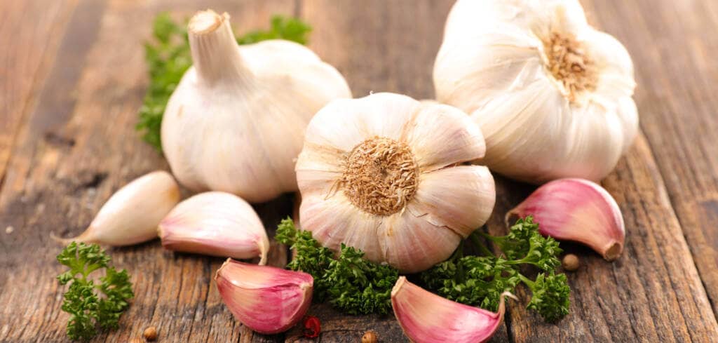 Garlic supplement benefits for cancer patients