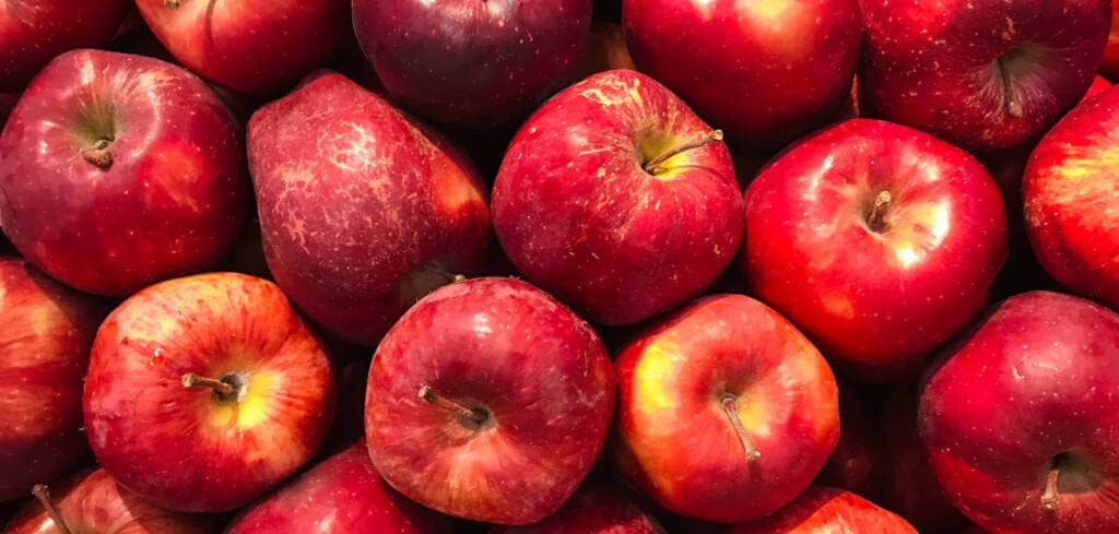 Apple supplement benefits for cancer patients
