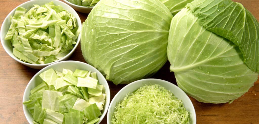 Cabbage supplement benefits for cancer patients