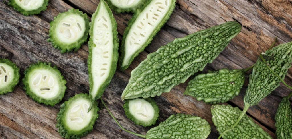 Bitter Melon supplement benefits for cancer patients