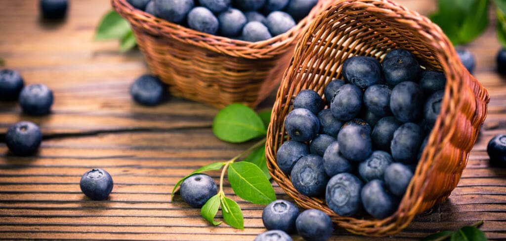 Blueberry supplement benefits for cancer patients