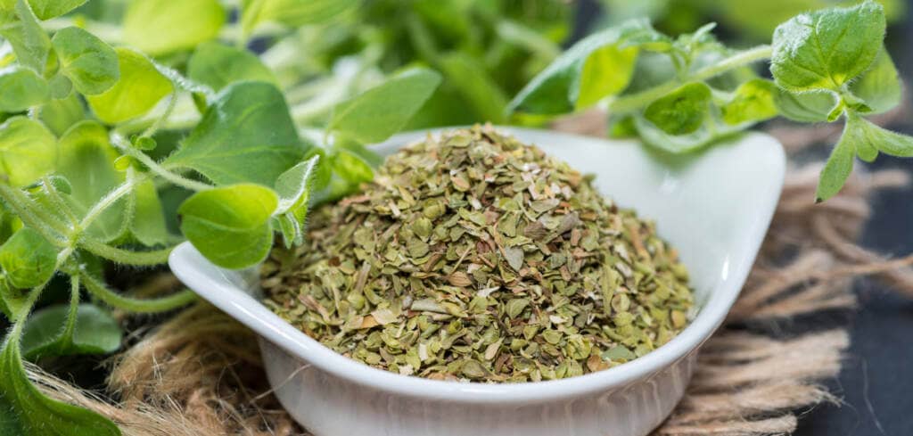 Oregano supplement benefits for cancer patients