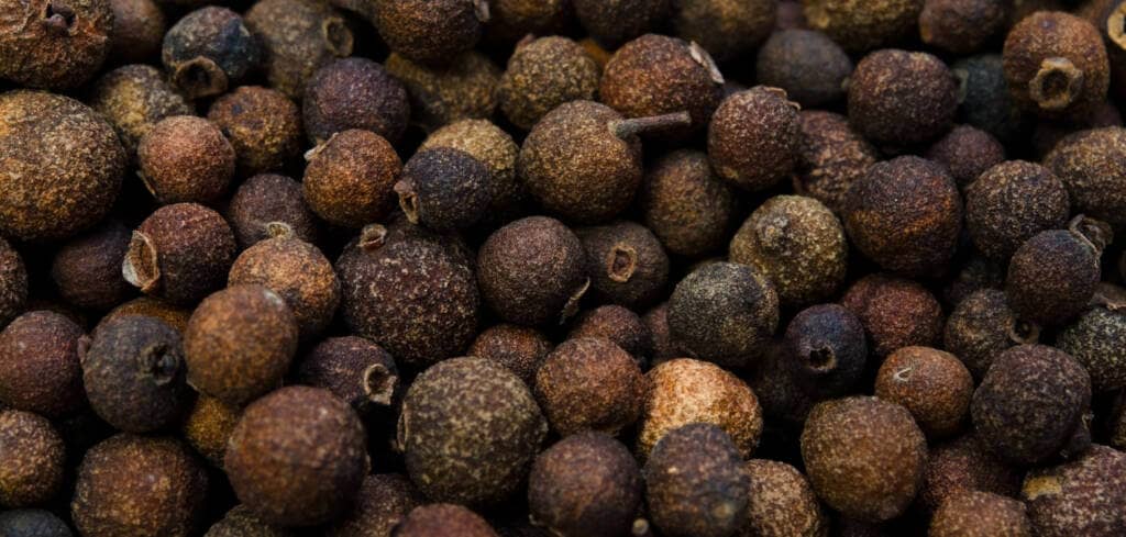 Allspice supplement benefits for cancer patients