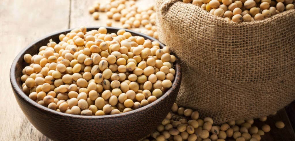 Soy Bean supplement benefits for cancer patient