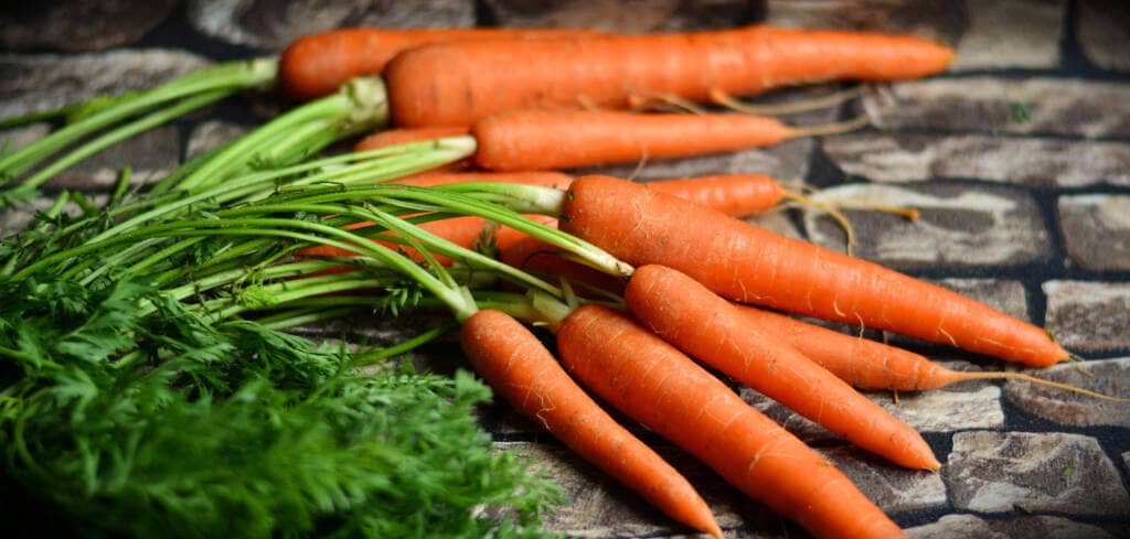 Carrot supplement benefits for cancer patients