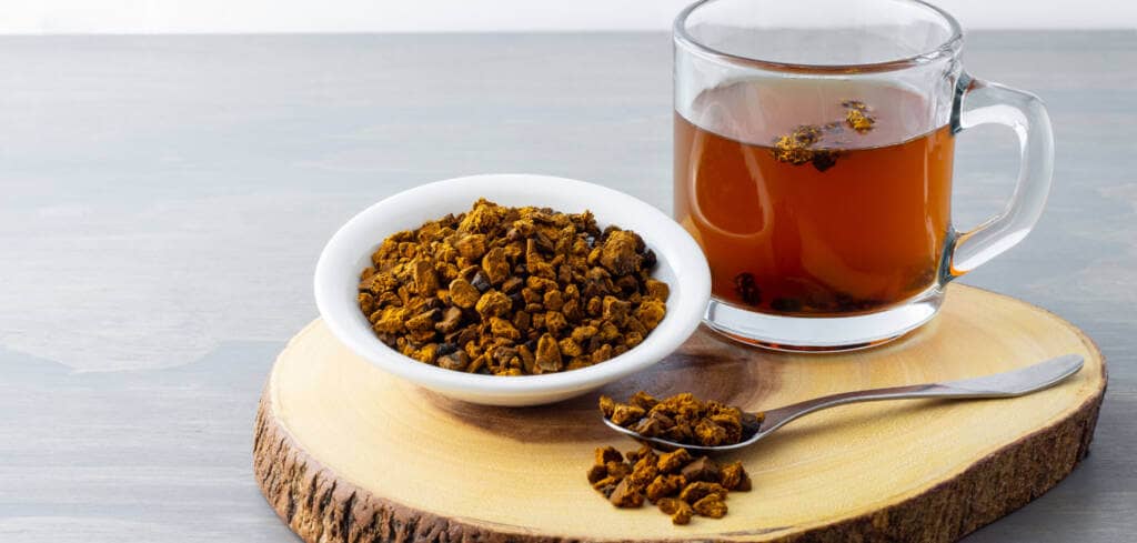 Chaga Mushroom supplement benefits for cancer patients treatments