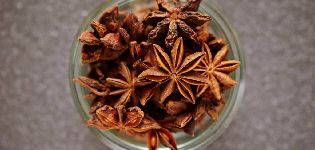 Star Anise supplement benefits for cancer patients