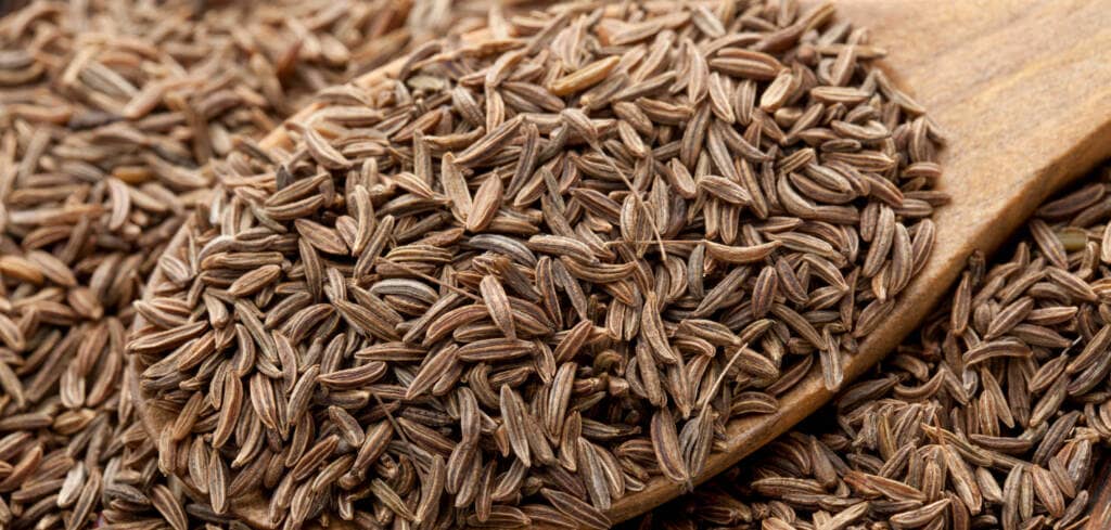 Caraway supplement benefits for cancer patients