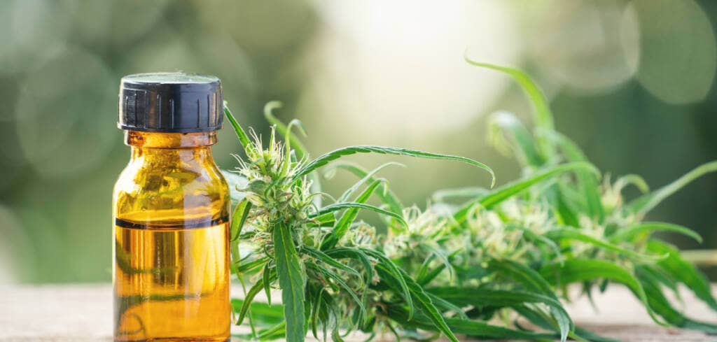 Cannabidiol supplement benefits for cancer patients