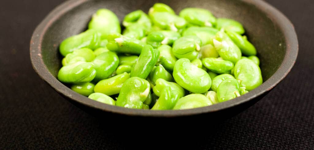 Fava Bean supplement benefits for cancer patients