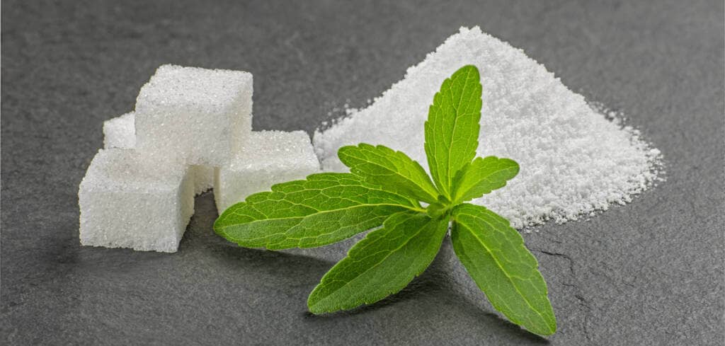 Stevia supplement benefits for cancer patients treatment