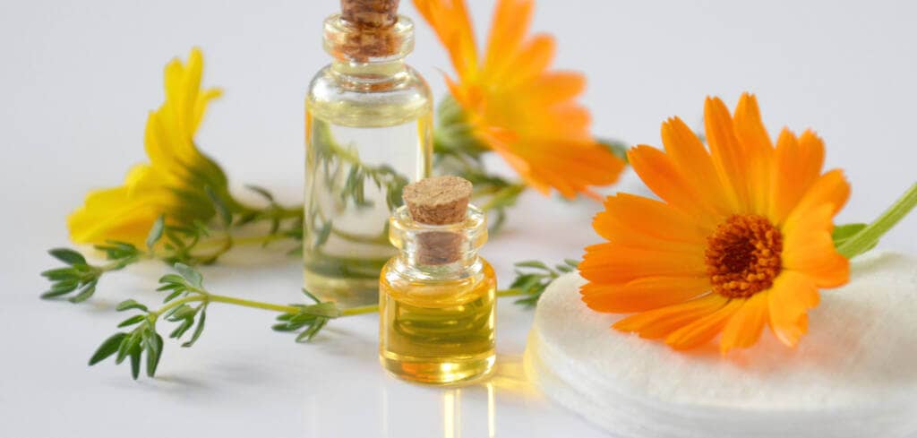 Calendula supplement benefits for cancer patients