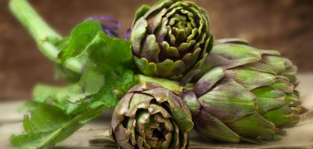 Artichoke supplement benefits for cancer patients and genetic risks