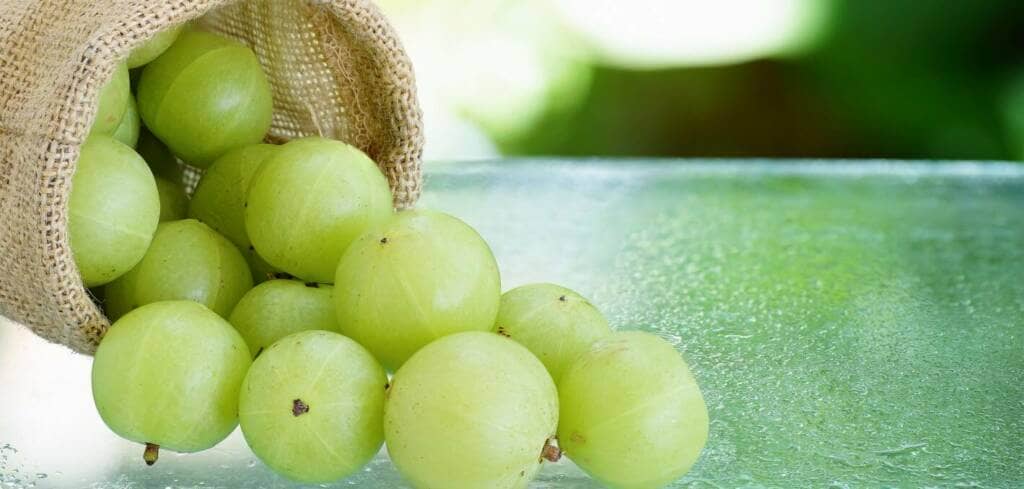 Amla supplement benefits for cancer patients and genetic risks