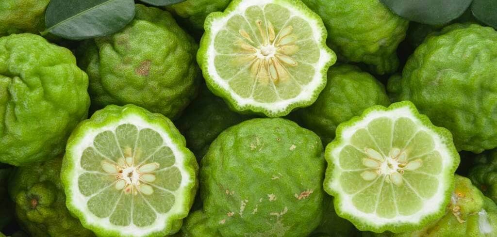 Bergamot supplement benefits for cancer patients and genetic risks