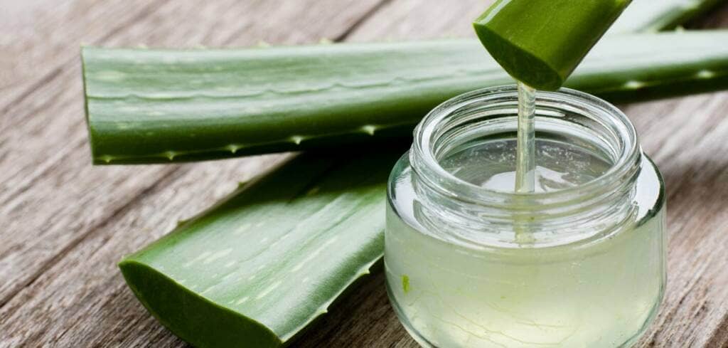 Aloe Vera supplement benefits for cancer patients and genetic risks