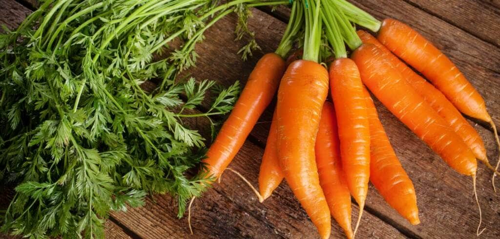Carrot supplement benefits for cancer patients and genetic risks