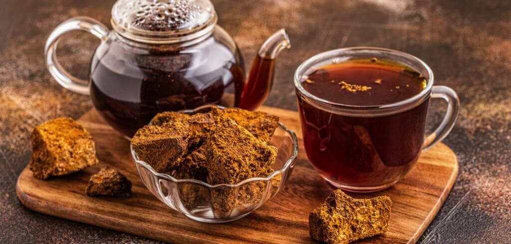 Chaga Mushroom supplement benefits for cancer patients and genetic risks