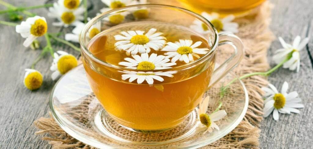 Chamomile supplement benefits for cancer patients and genetic risks