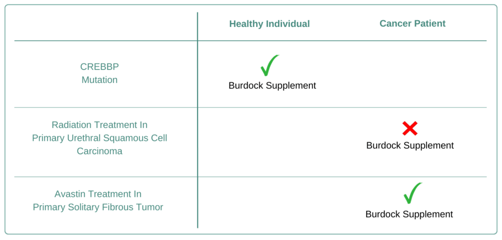  Burdock supplement benefits for cancer patients and genetic risks
