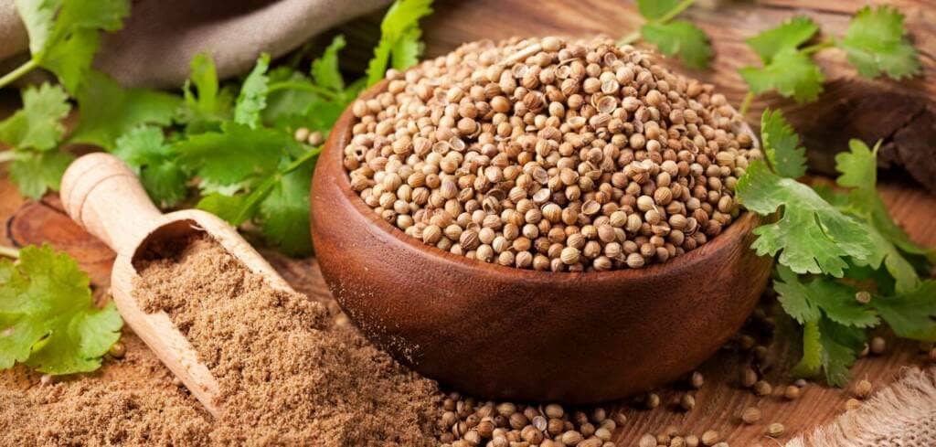  Coriander supplement benefits for cancer patients and genetic risks